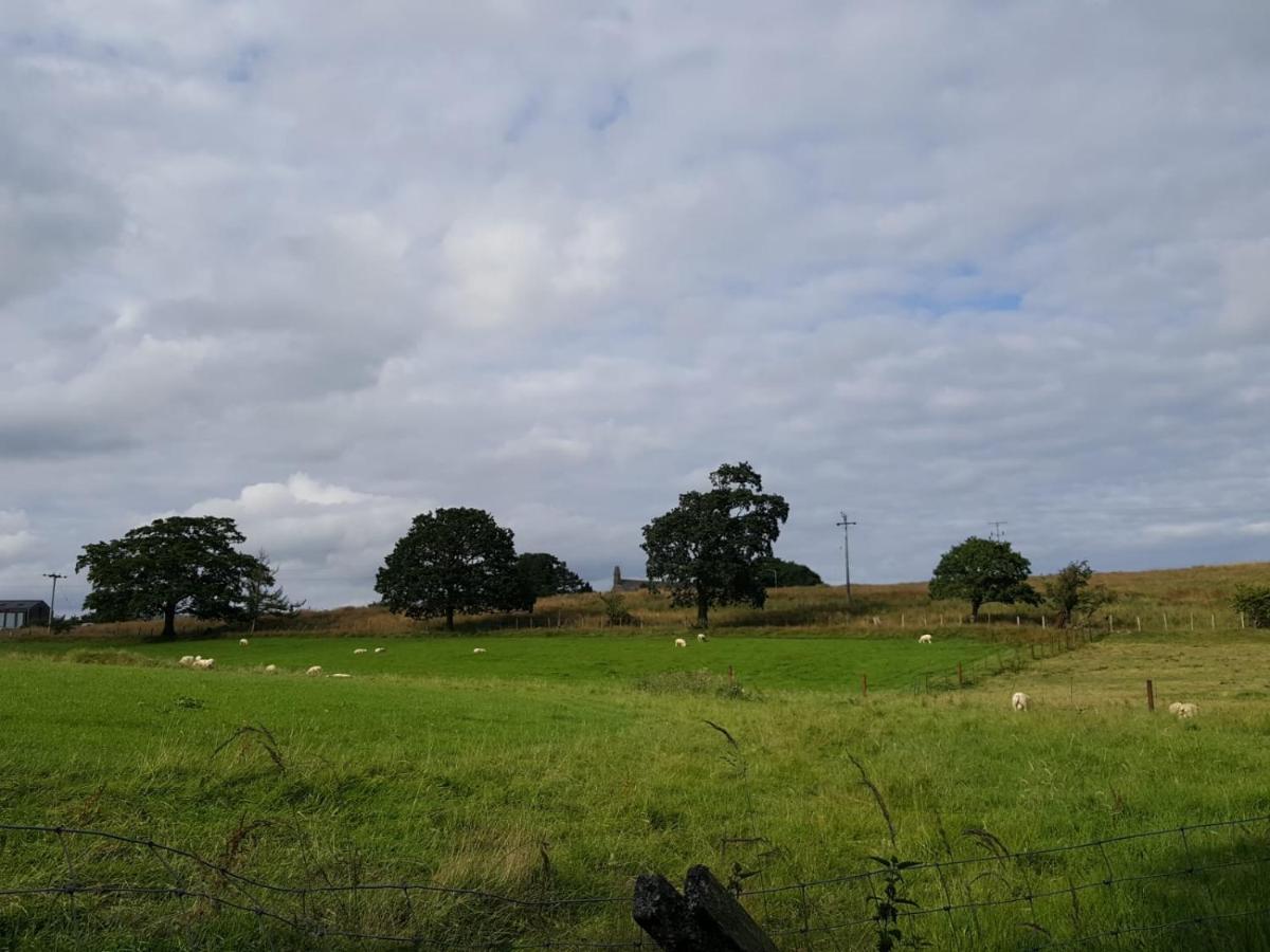 Lower Turnerford Farmhouse Newby  Dış mekan fotoğraf