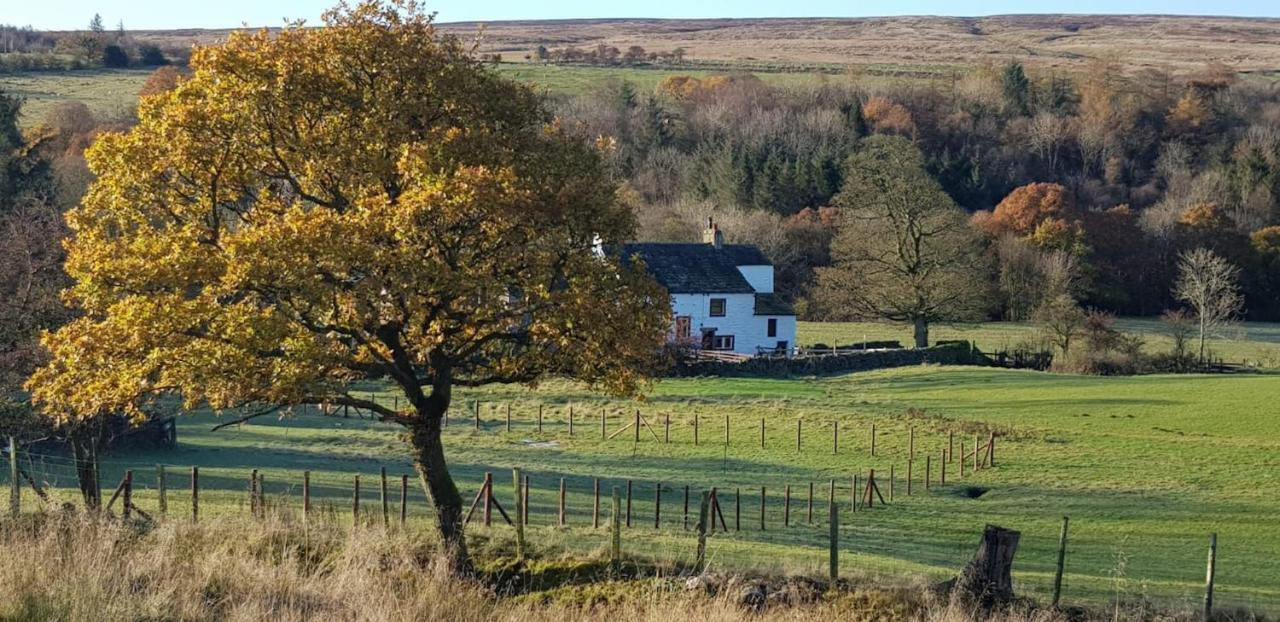 Lower Turnerford Farmhouse Newby  Dış mekan fotoğraf